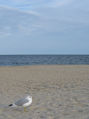 recharging creative spirit at the beach