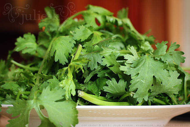 csa cilantro