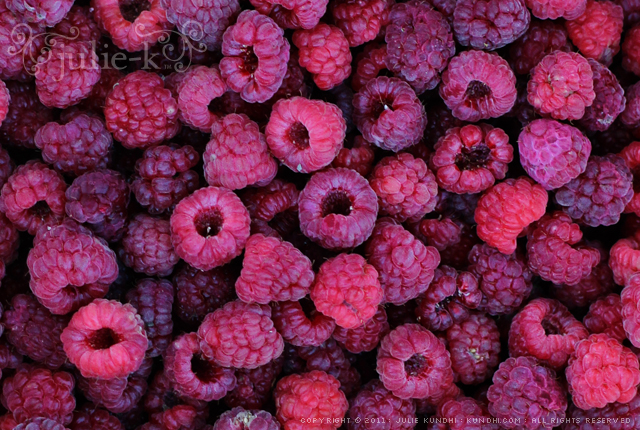 picking fruit