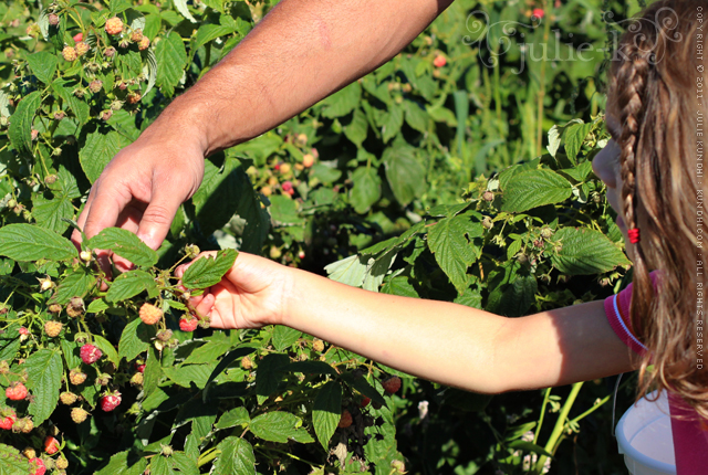 picking fruit