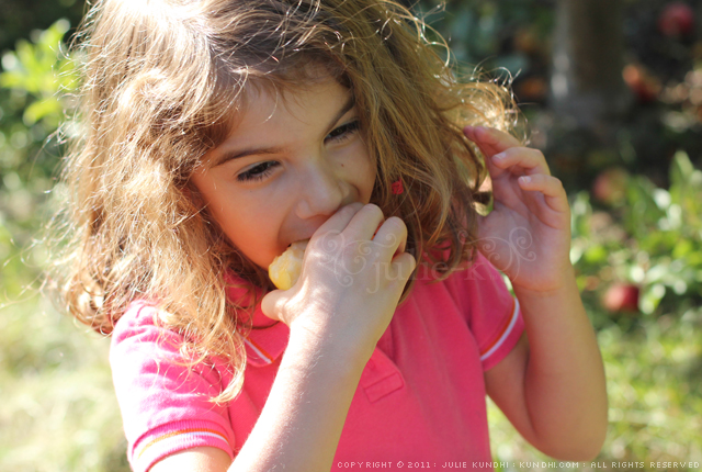 picking fruit