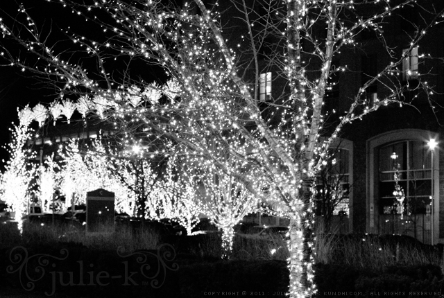 national harbor twinkle lights