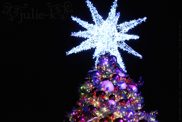 national harbor tree