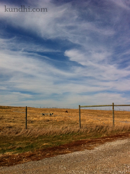 elk pioneers park 