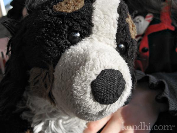 dog's nose is stuffed up