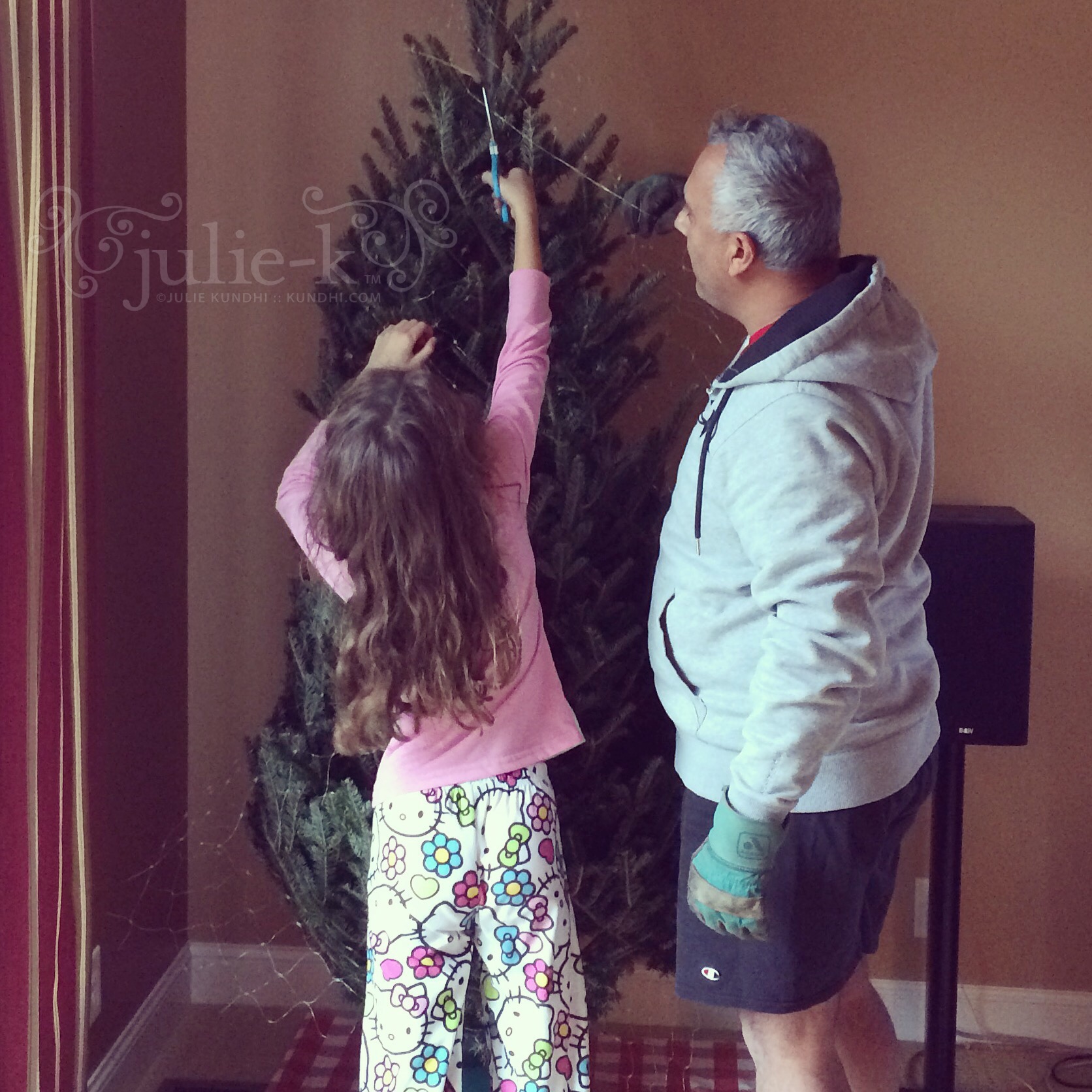 setting up the tree